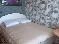 2- комн. квартира на сутки в Центре по Ленина