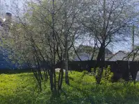 Участок ( дом-дача), Ул.Родниковая, 17, фотография 11