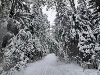Продаётся дача на берегу реки Нарочанка, д. Кордон Вилейского района, фотография 12