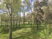 Продам двухкомнатную квартиру в  п.НОВОКОЛОСОВО СТОЛБЦОВСКОГО РАЙОНА, фотография 12