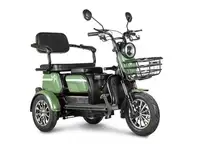 Электротрицикл rutrike пилот