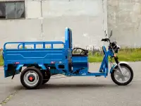 Грузовой электротрицикл AVM Cargo 1500, фотография 6
