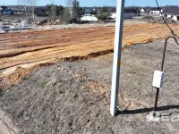 Продается ровный земельный участок 2 км от г. Марьина Горка, фотография 12