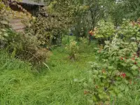 Участок 10 соток, частная собственность, до г. Молодечно 24км. Реальному покупателю торг., фотография 3