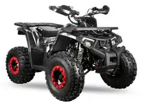 Квадроцикл amoto wild x pro 125