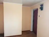 Продается участок с постройками, Осиповичский район, д.Октябрь, фотография 5