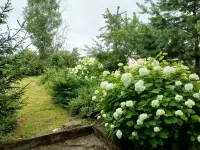 Дом со всеми удобствами, Деревня Яковцы района Витебской области, фотография 2