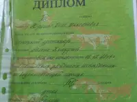 Щенки дратхаара, фотография 3