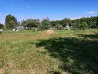 Дачный участок, фотография 6