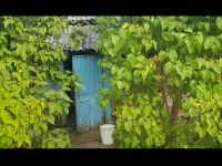 Продажа 20 соток и часть дома,г.Ельск,Гомельс.обл., фотография 7