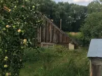 Участок с домом 25 соток, д. Каменка Кленовая 84, фотография 6