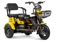 Трицикл rutrike бумеранг 650w 48v двухместный без акб