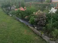 Дом с ремонтом, пер. Заводской, фотография 11