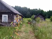 Продается дом в д. Поречье в экологически чистом месте, в шаговой доступности река, вокруг лес, отличное место для дачи, фотография 3