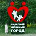 Топиар фигуры от производителя, доставка по всему миру, фотография 6