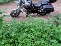 Продам мотоцикл, фотография 5