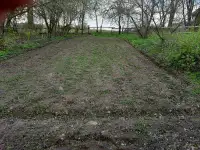 Дом  и большой участок 25 соток Деревня Рогово Минского района, фотография 4