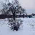Продам участок с домом, ул. Центральная д.29, фотография 8