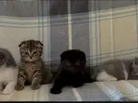 З, фотография 7