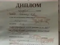 Щенки Курцхаара, фотография 12