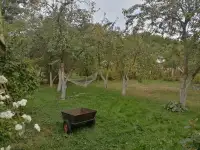 Продам дом, ст 