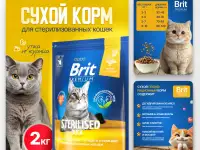 Дизайн карточек товара для WB и Ozon инфографика, фотография 6