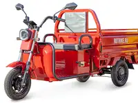 Грузовой электротрицикл rutrike амулет 1100 60v650w, фотография 8
