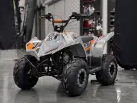 Квадроцикл Regulmoto SK11 (к-т з/ч), фотография 2