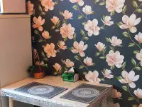 Квартира на сутки Фрунзе, фотография 3
