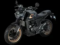 Мотоцикл zontes zt350-gk, фотография 3