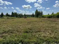 Продаю участок 15 соток в хорошем месте, с.т. Черница, фотография 3