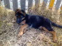 Продается