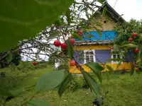 Дача - Дом в мядельском р-не в 2 км оз Свирь д Больковщина, фотография 5