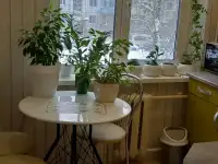 Квартира, Ул Репина дом 8 ,корпус 1,