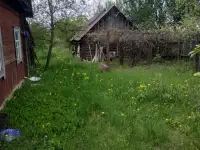 продам дом в а.г. Протасевичи, Осиповичский р-н, фотография 2