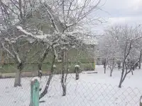 Дом в д. Федьковичи, фотография 9