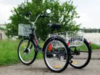 Электровелосипед AVM E-ALFA TRIKE 24, фотография 6