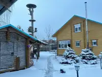 Сдача дома на Нарочи, Занарочь, р-н., фотография 9