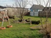 Дом в д.Каменка Мозырский р.н, фотография 2