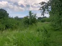 Участок в д.Колодники