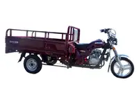 Трицикл racer rc200zh muravei 200cc