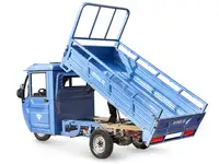 Грузовой электротрицикл rutrike фактор 2600 60v2000w, фотография 3