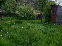 продам дом в а.г. Протасевичи, Осиповичский р-н, фотография 6