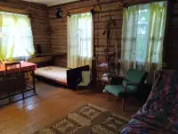 Бревенчатый дом в лесу у ручья деревни Сусловка, фотография 8