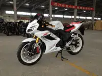 Мотоцикл Wanqiang Falcon Speedfire YD250-4, фотография 2