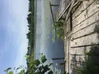 Продам дом с флигелем  в г.Поставы на берегу реки, фотография 12