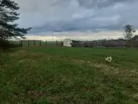 Продам дом, район,д. Берёзовка. Терешковой 2, фотография 2