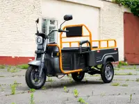 Электротрицикл AVM Cargo mini 800, фотография 4