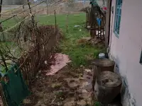 Дом, фотография 2