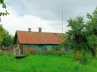 Продается крепкий дом по адресу: Минская область, Воложинский район, Вишневский сельсовет, дер. Новоселки, дом 69, фотография 7